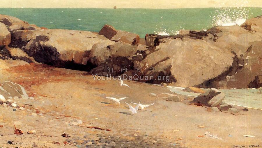 Rocky Coast and Gulls - 温斯洛·荷默